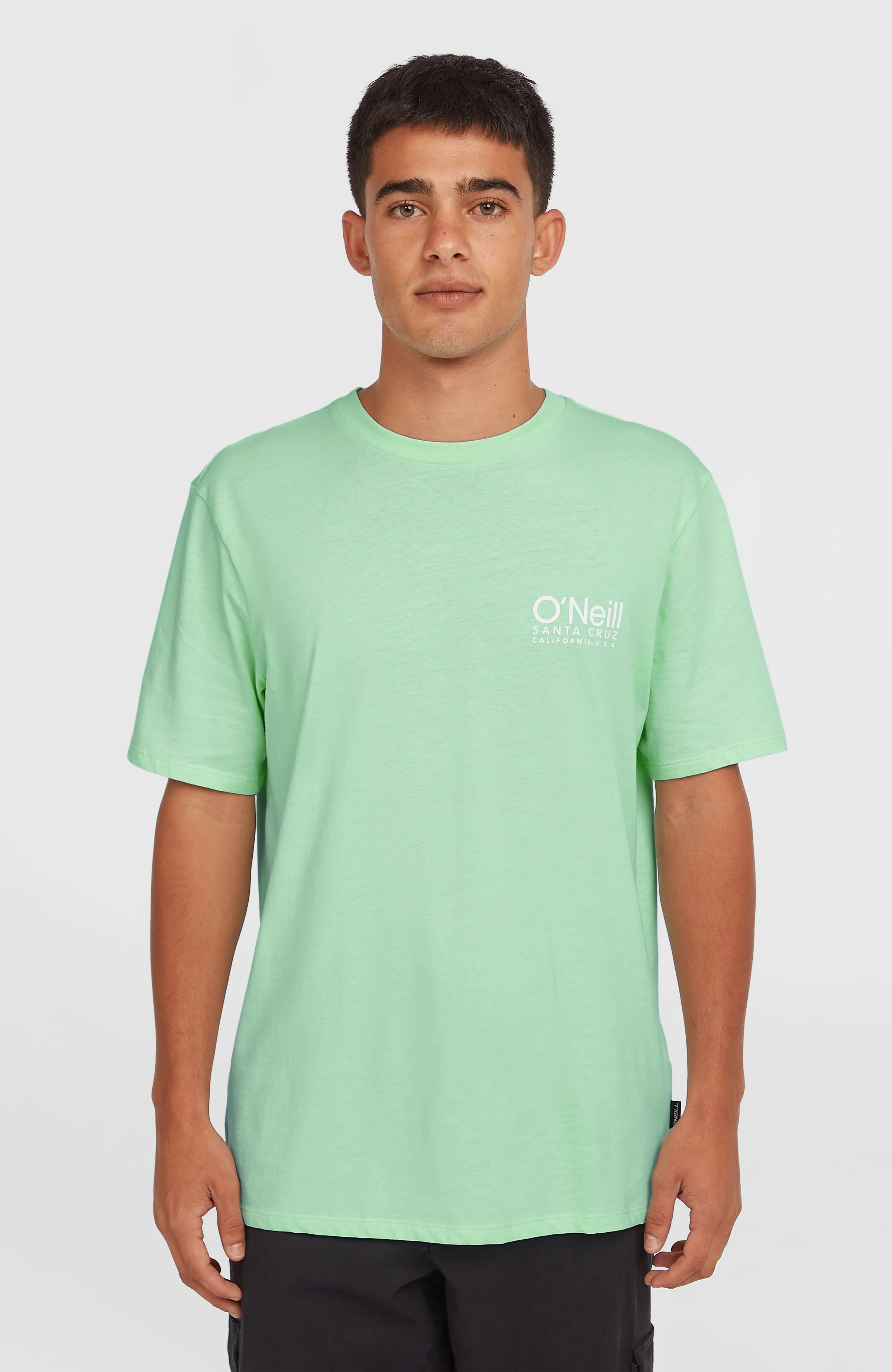 10465-original-cali-logo-t-shirt-mildrew-mint-1.webp Original Cali Logo T-Shirt | Mildrew Mint