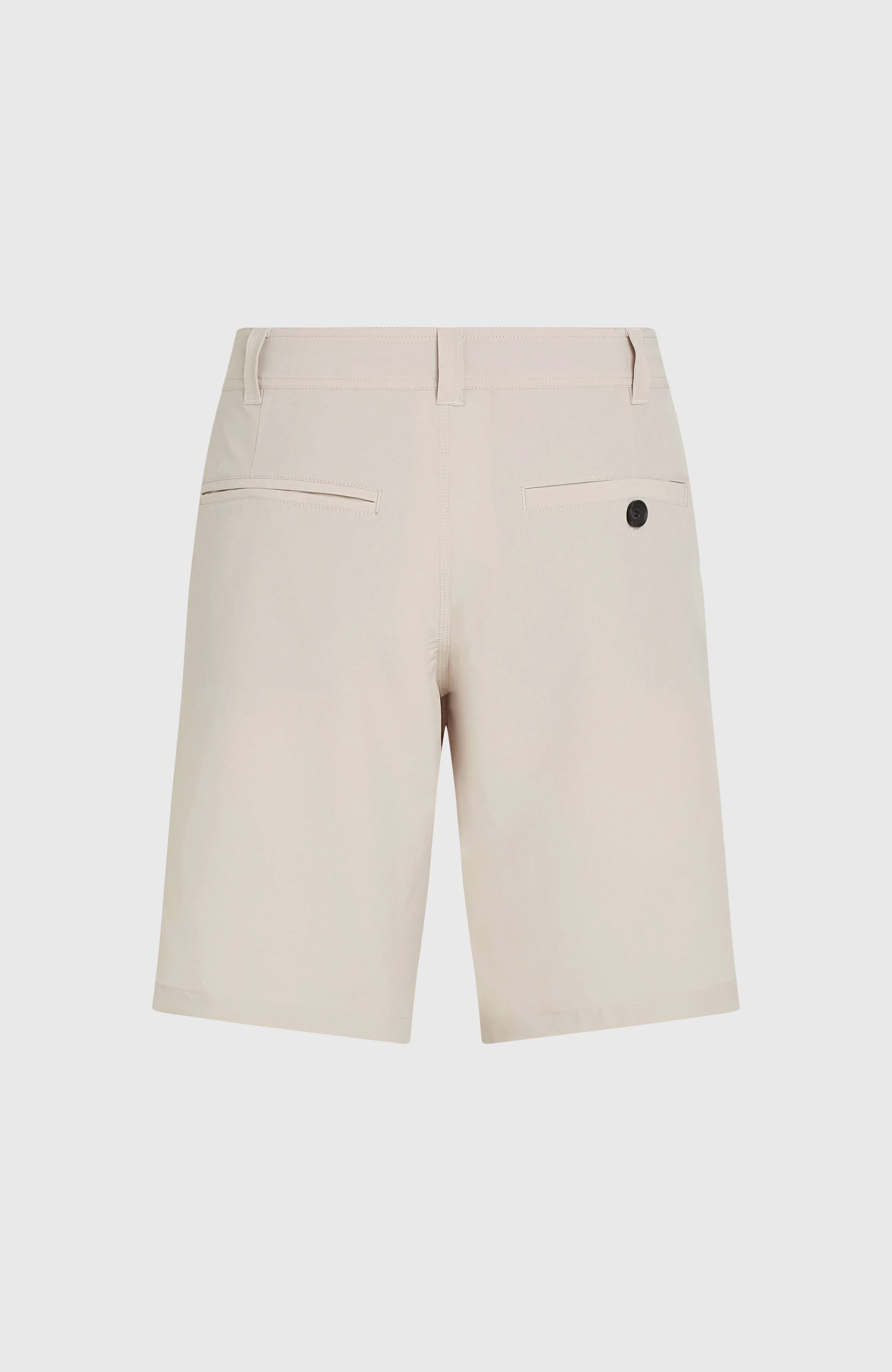 Hybrid Chino 19" Shorts | Atmosphere