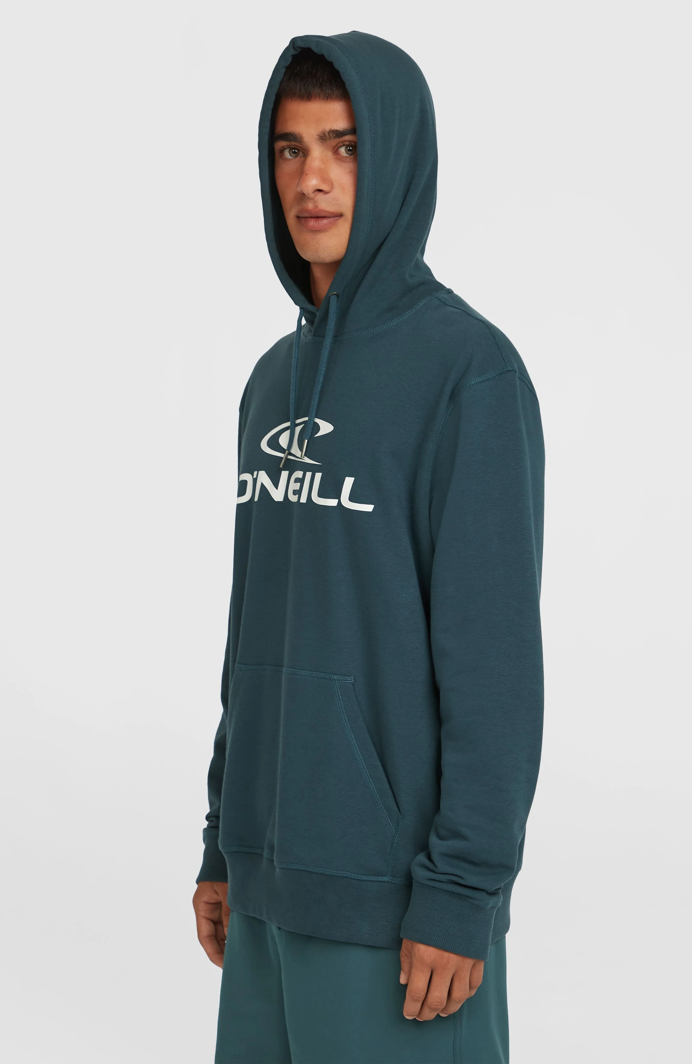 Logo Hoodie | Alma Steel