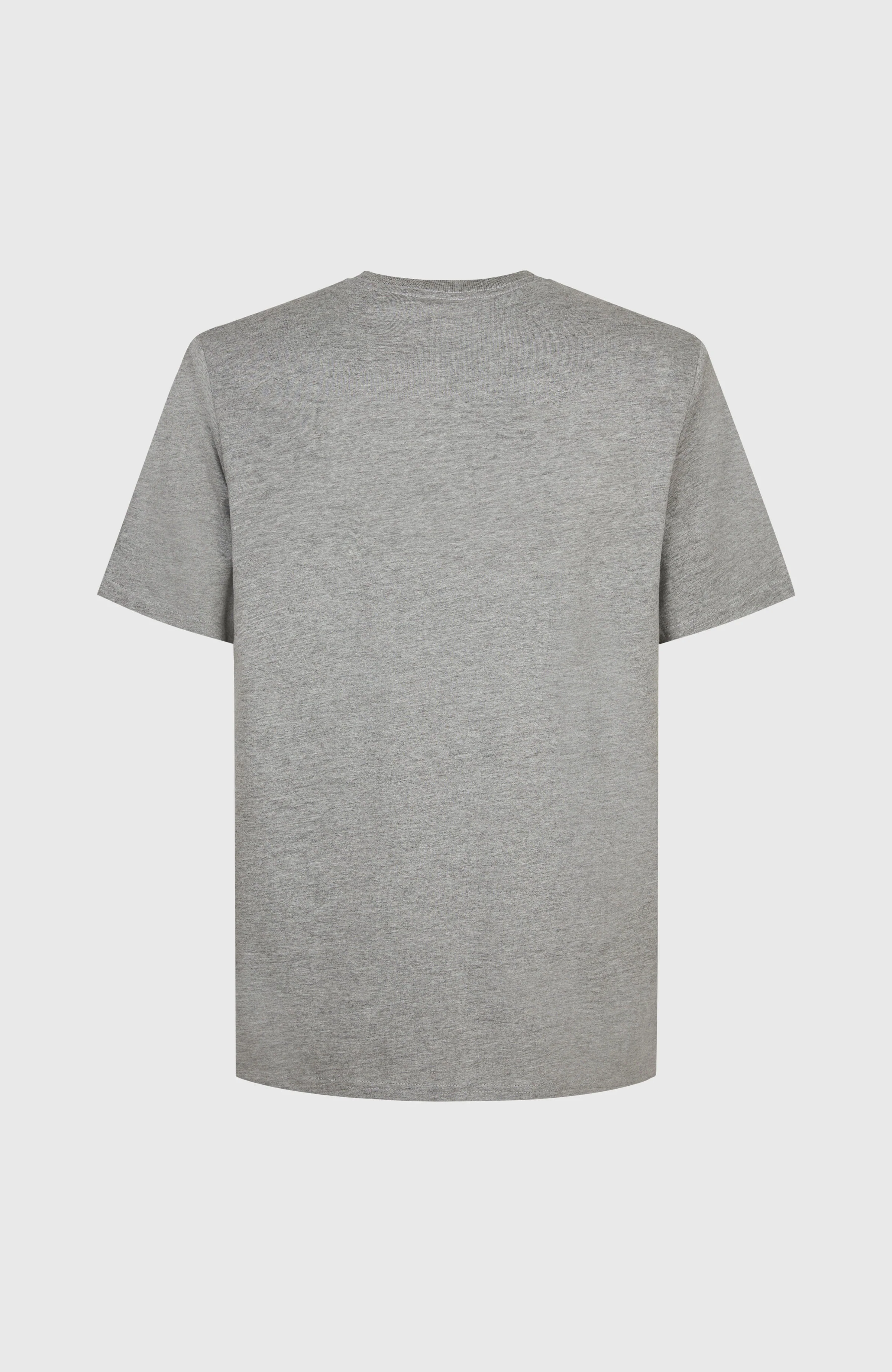 Future Surf Society T-Shirt | Silver Melee