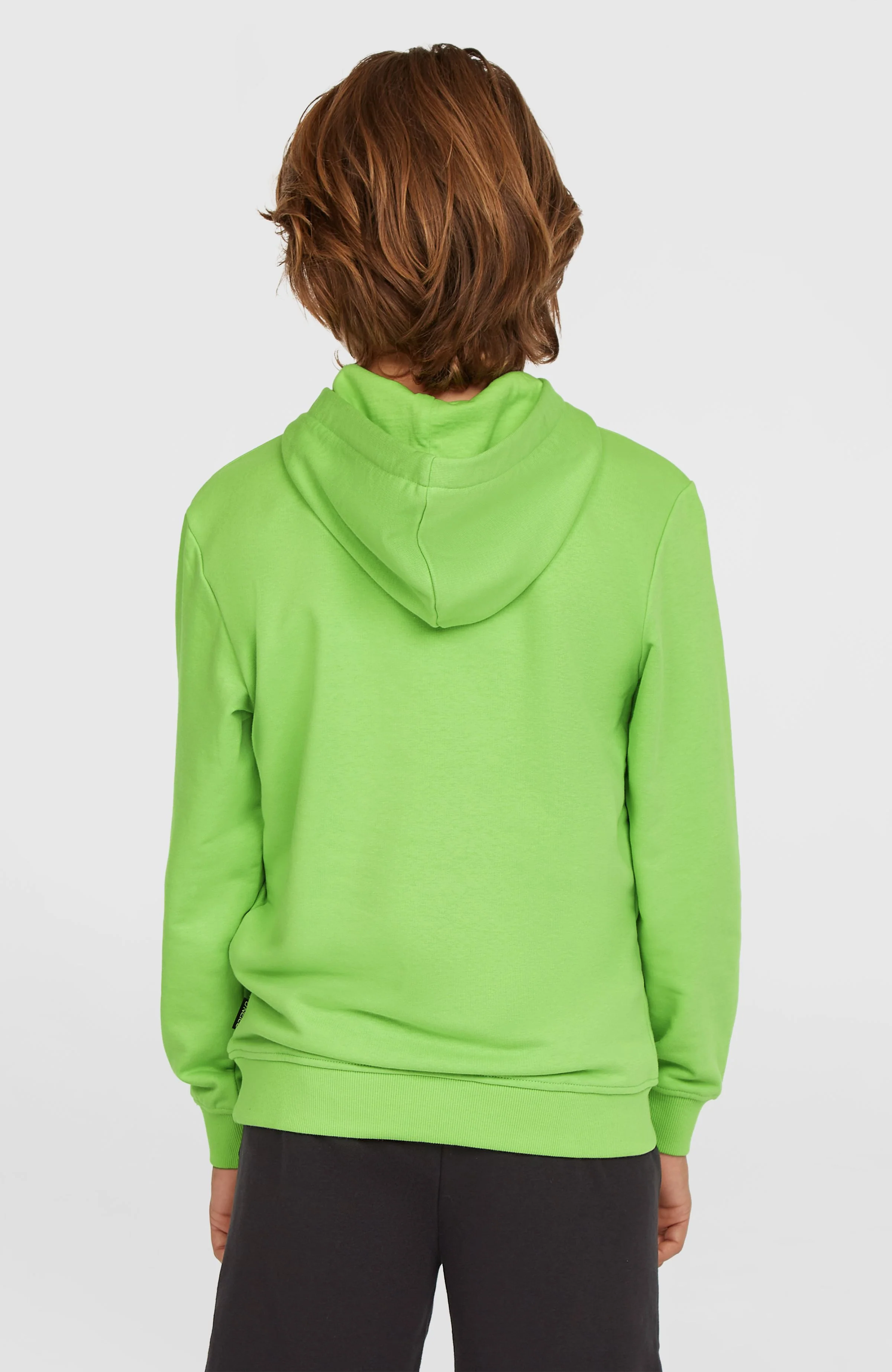 Logo Hoodie | Paradise Valley