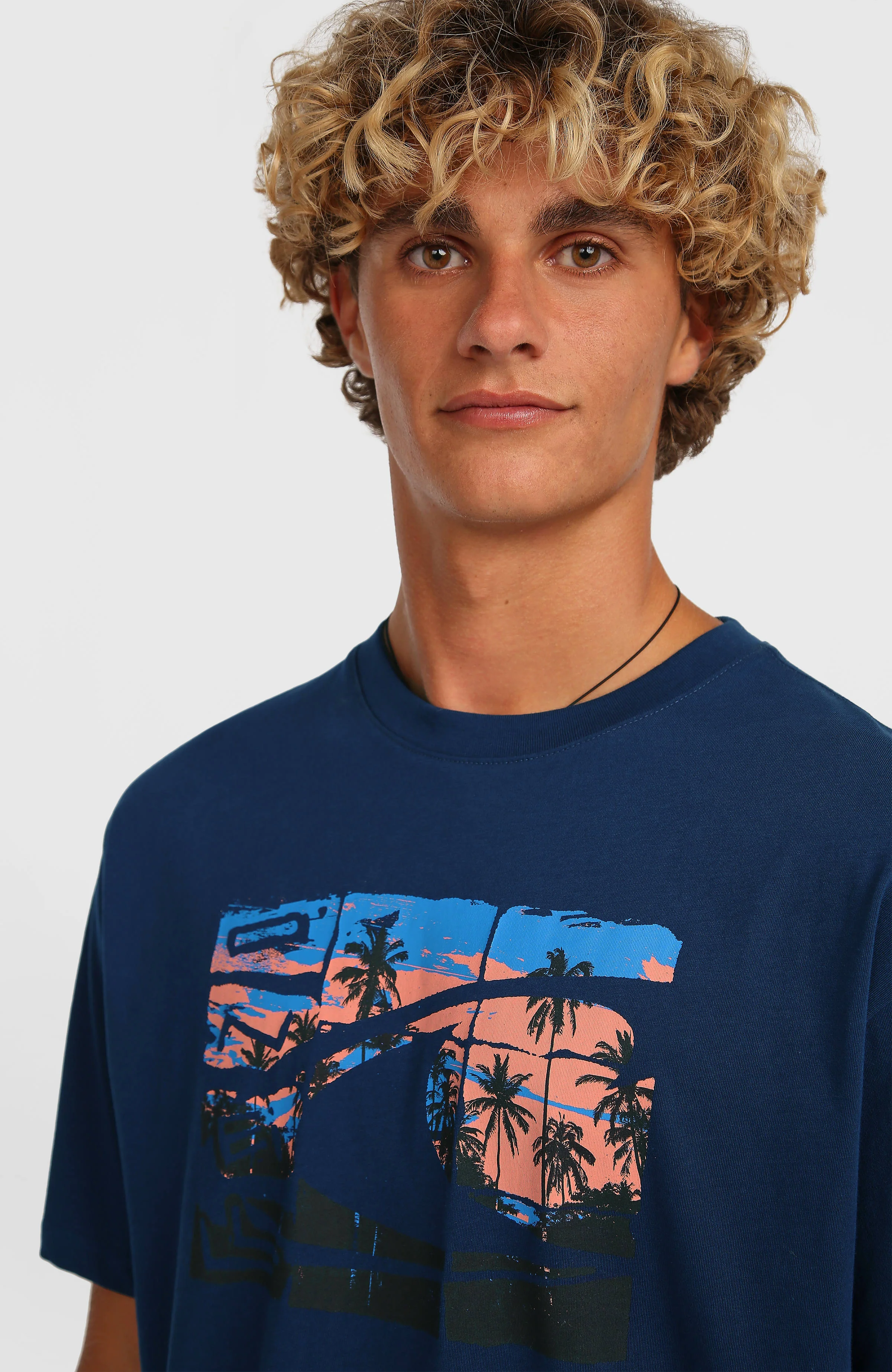 O’Neill Gradient T-Shirt | English Evening