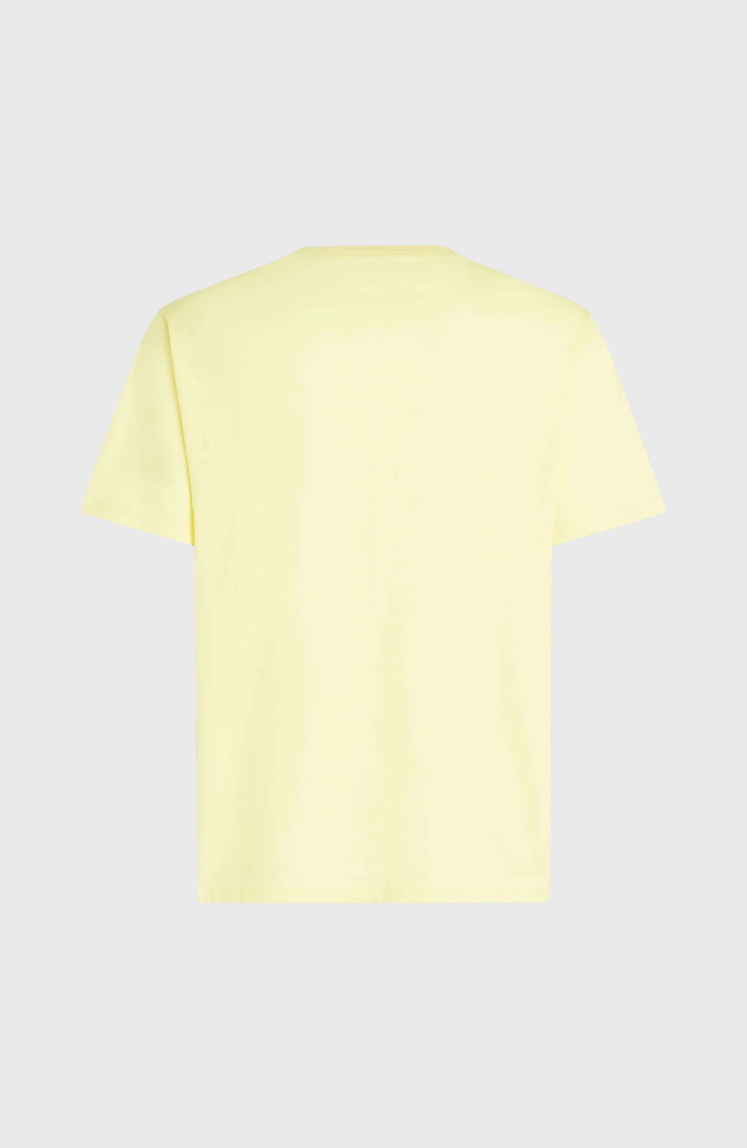 O'Neill Must-Have Graphic T-Shirt | Rainforest Dew