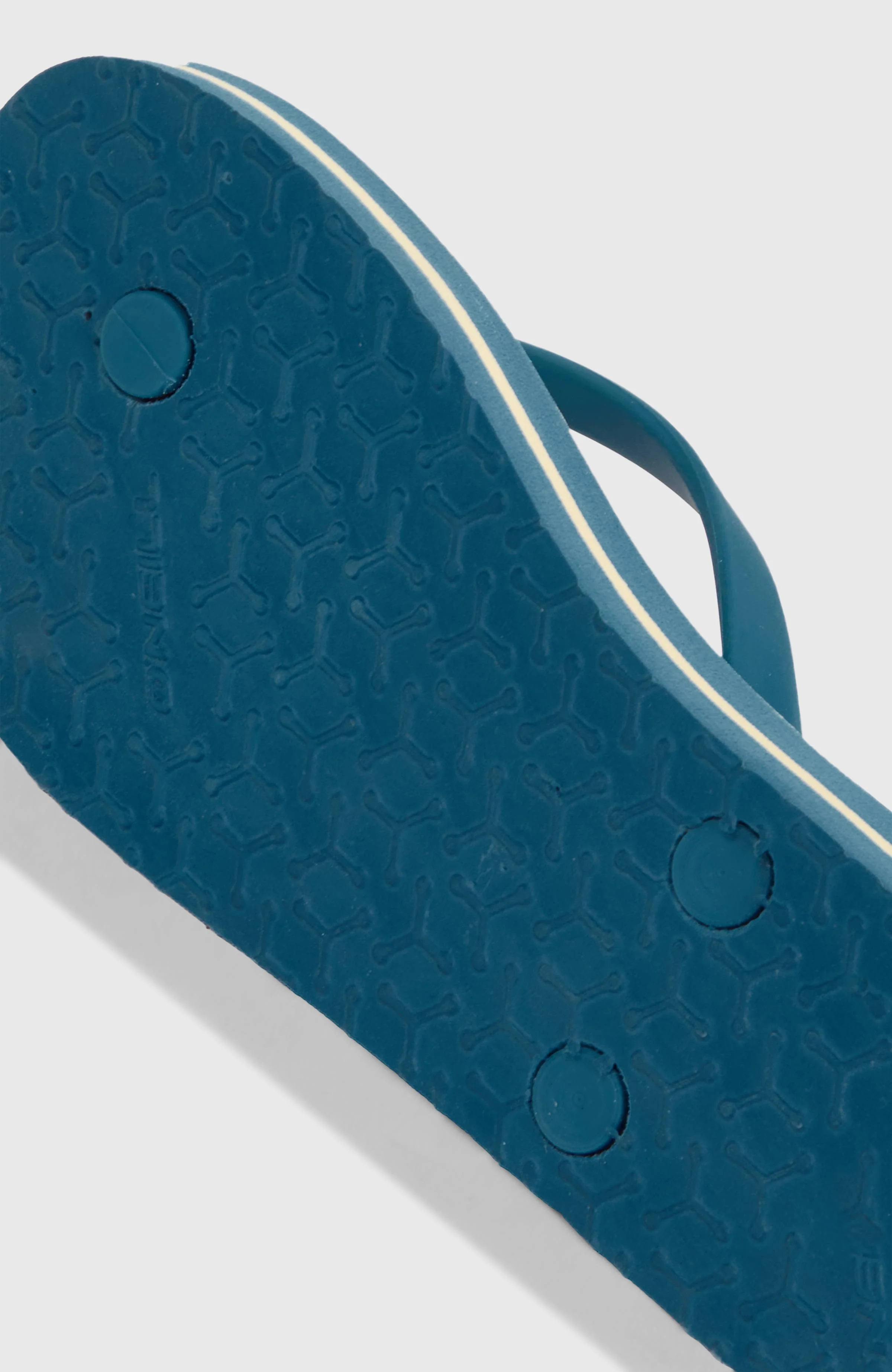 Profile Graphic Sandals | Blue Santa Monica