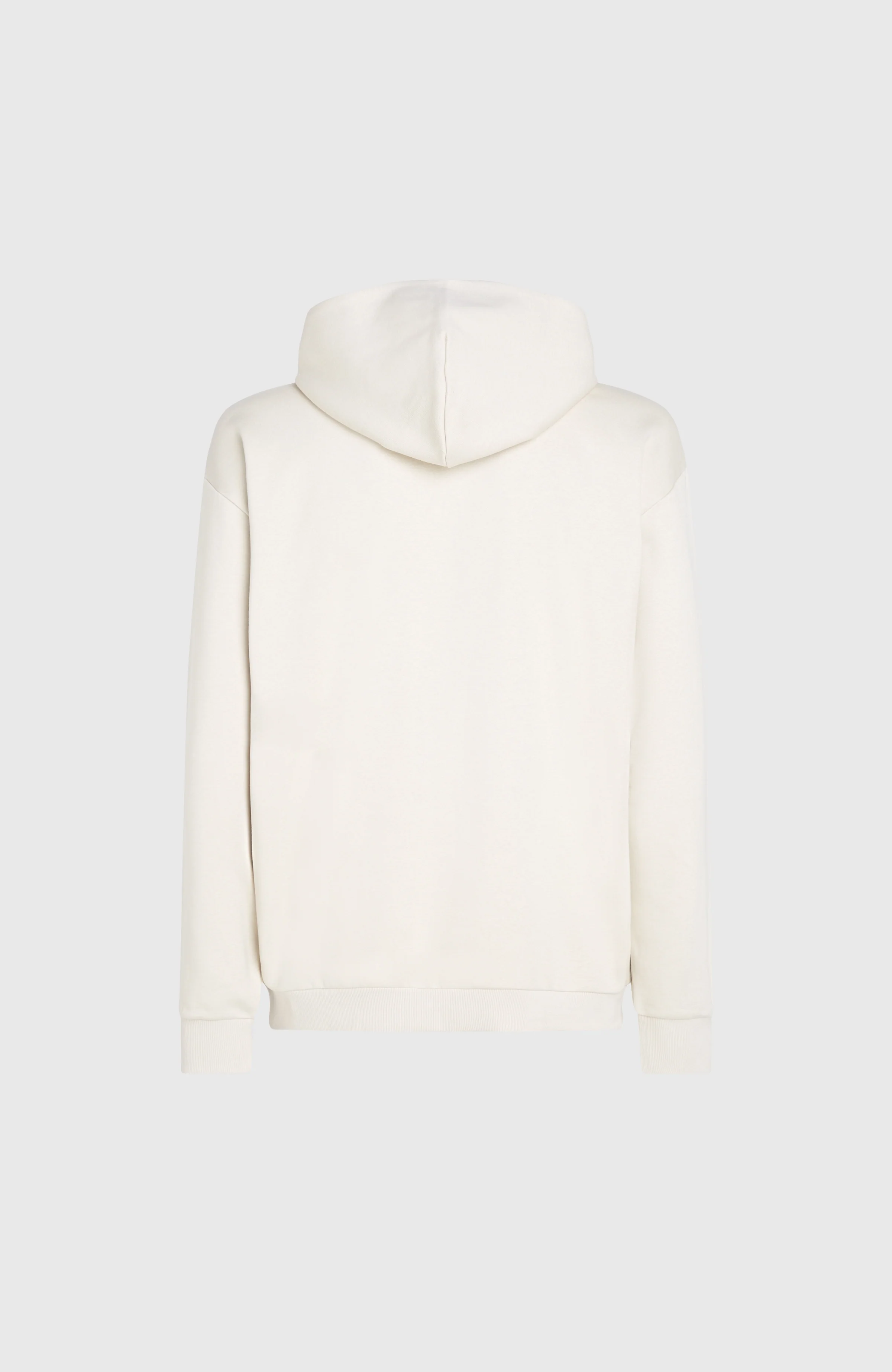 Future Surf Society Hoodie | Atmosphere