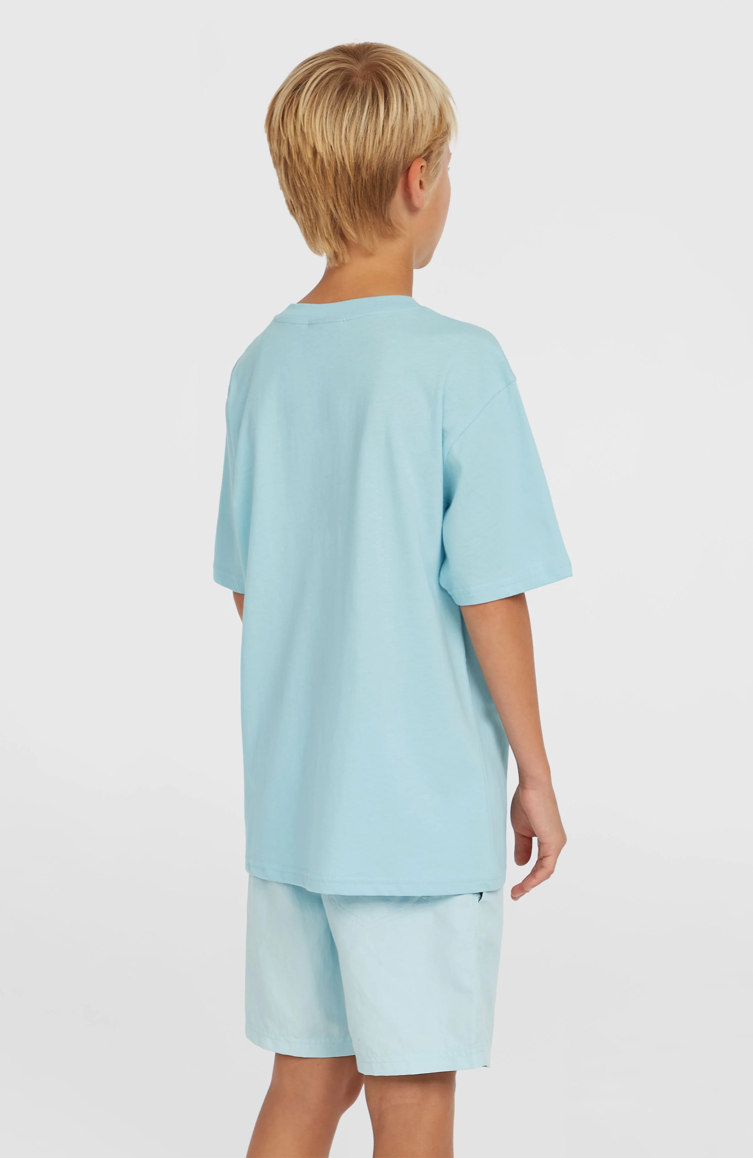 Vert 14'' Swim Shorts | Morning Glory