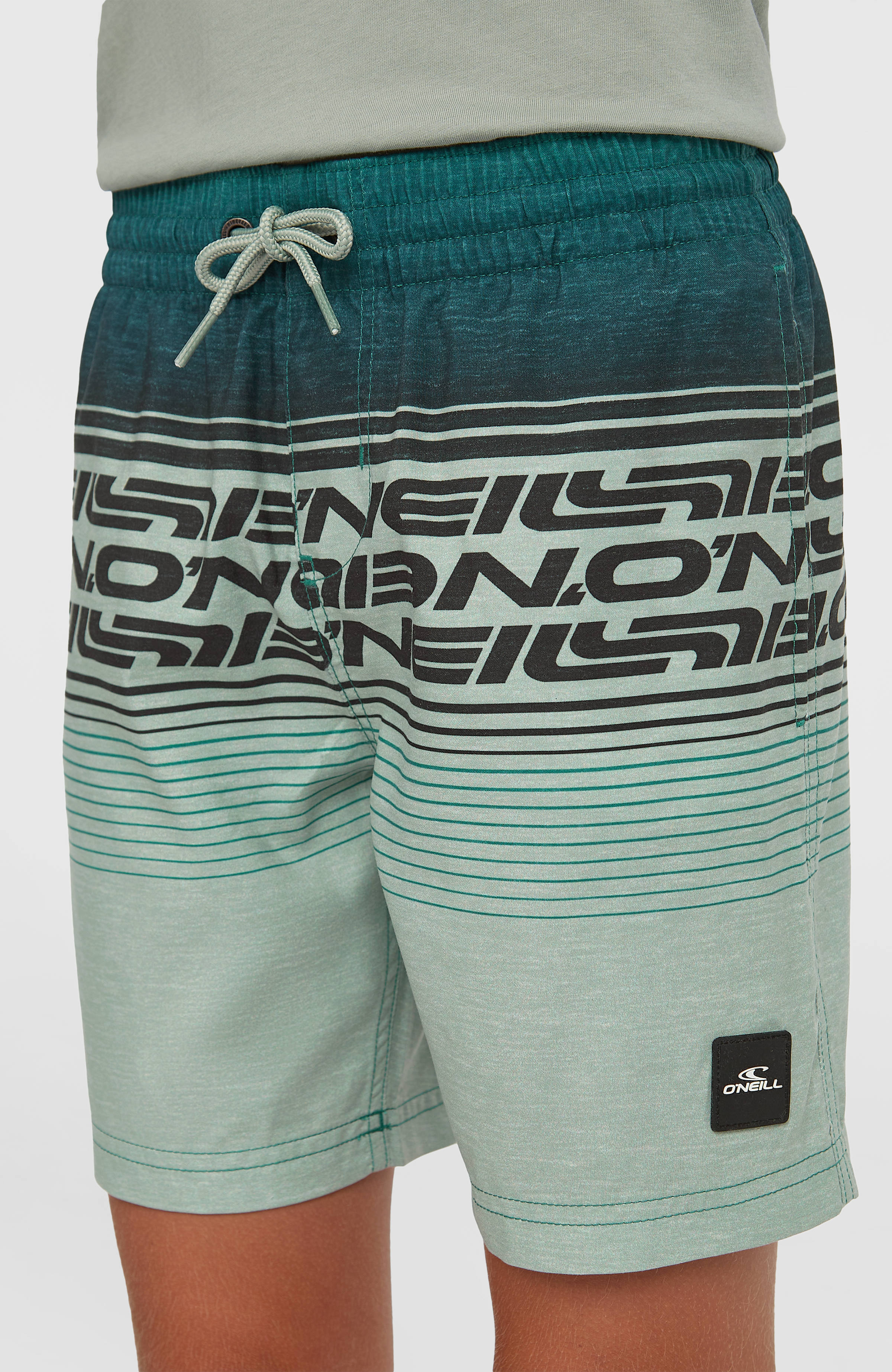 2794-o-neill-logo-stripe-swimshorts-boys-green-heritage-o-neill-1.jpg O'Neill Logo Stripe Swimshorts | Boys Green Heritage O'Neill