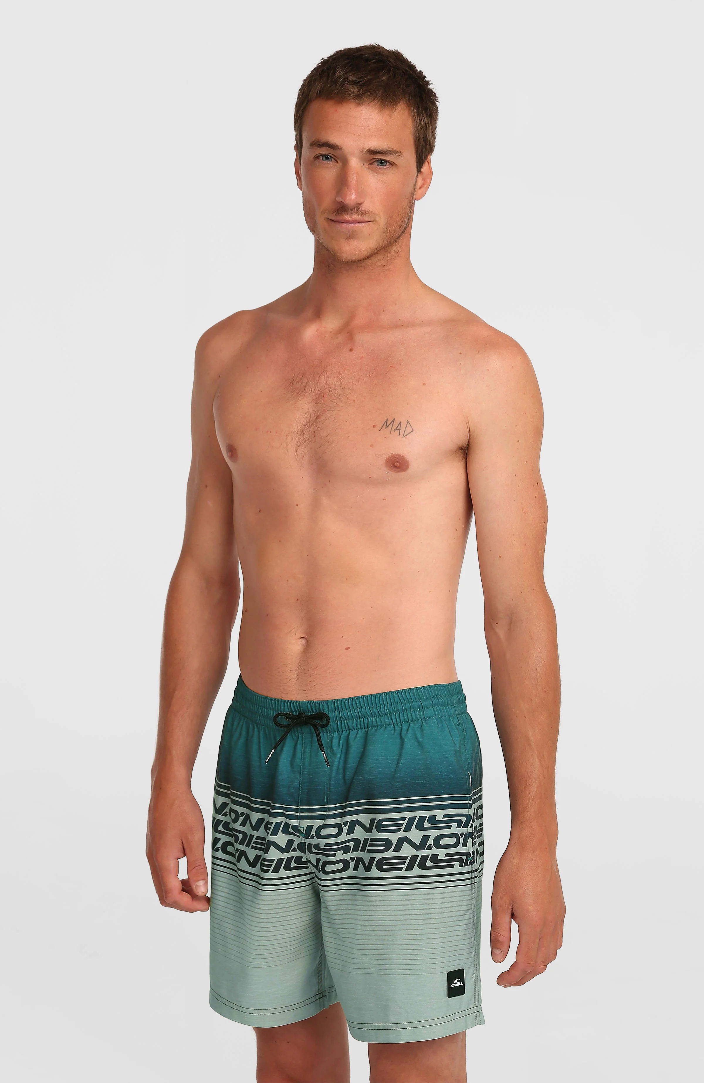 Logo Stripe 16'' Swimshorts | Green Heritage Stripe