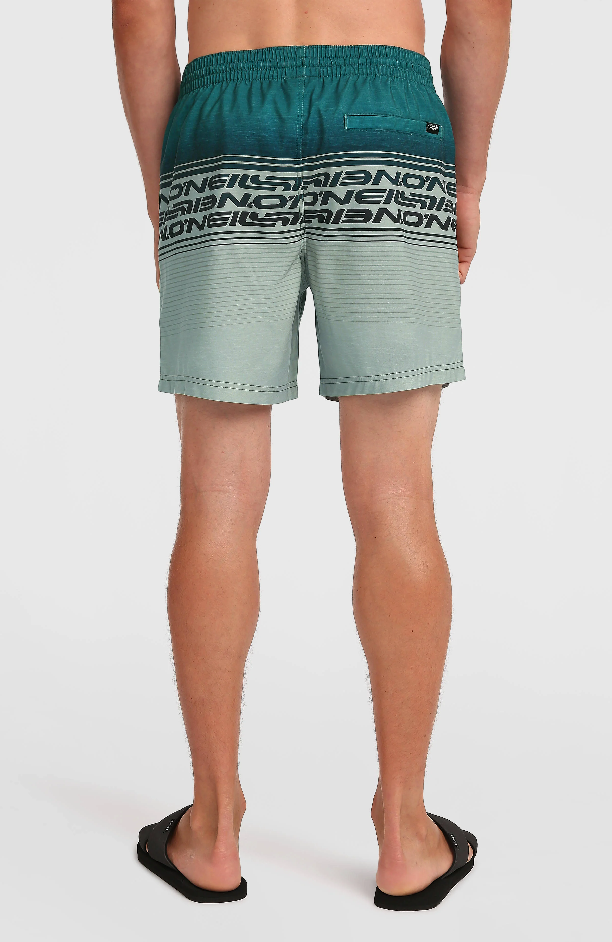 Logo Stripe 16'' Swimshorts | Green Heritage Stripe
