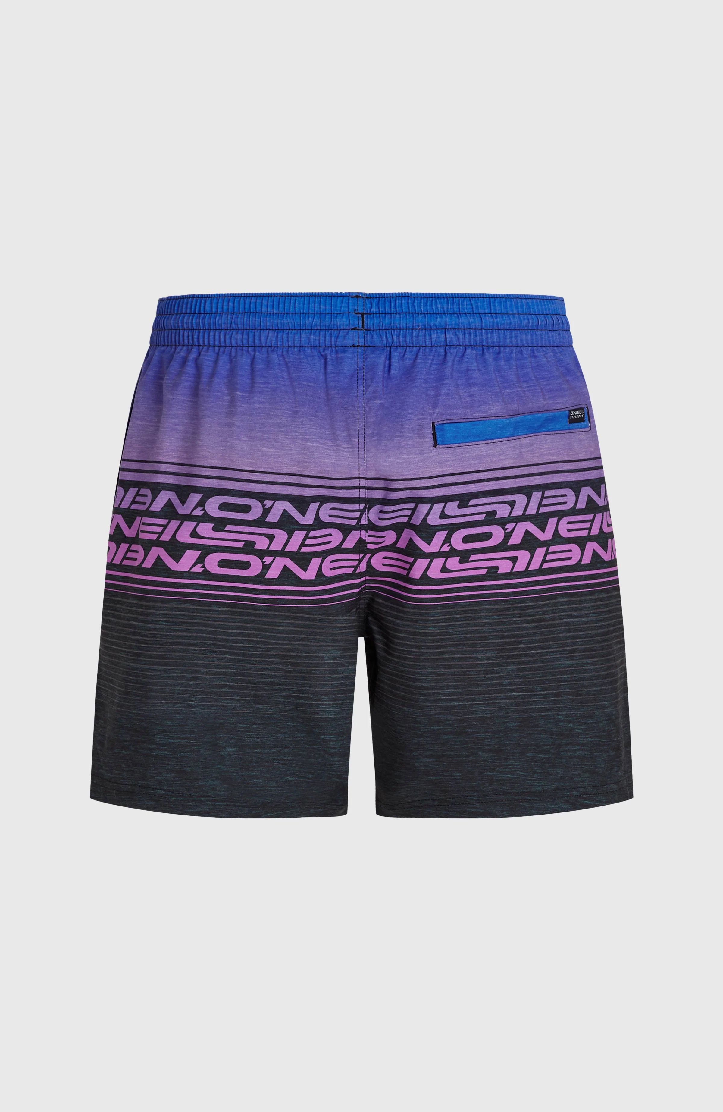 Logo Stripe 16'' Swimshorts | Blue Heritage O'Neill Stripe