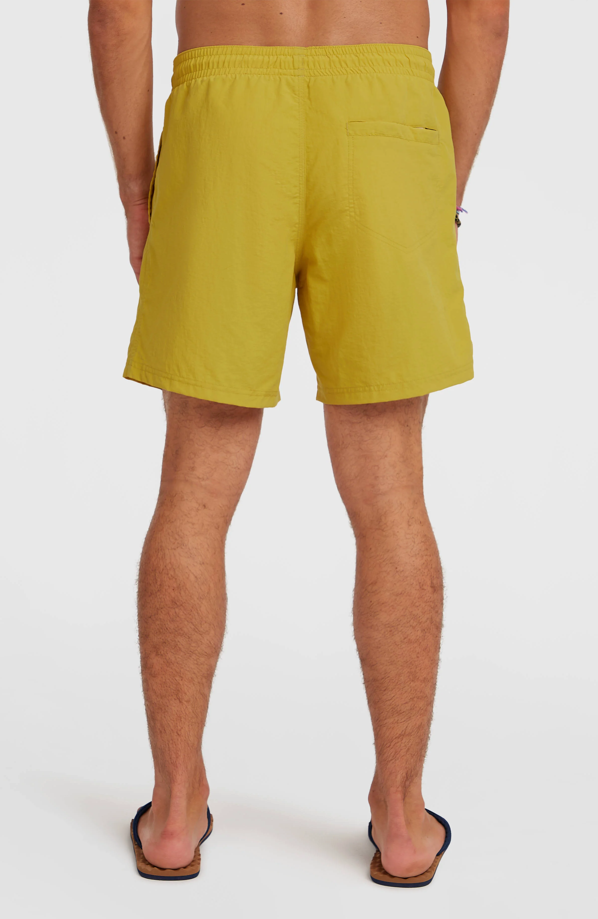 O'Neill Vert 16'' Swimshorts | Angel Fern