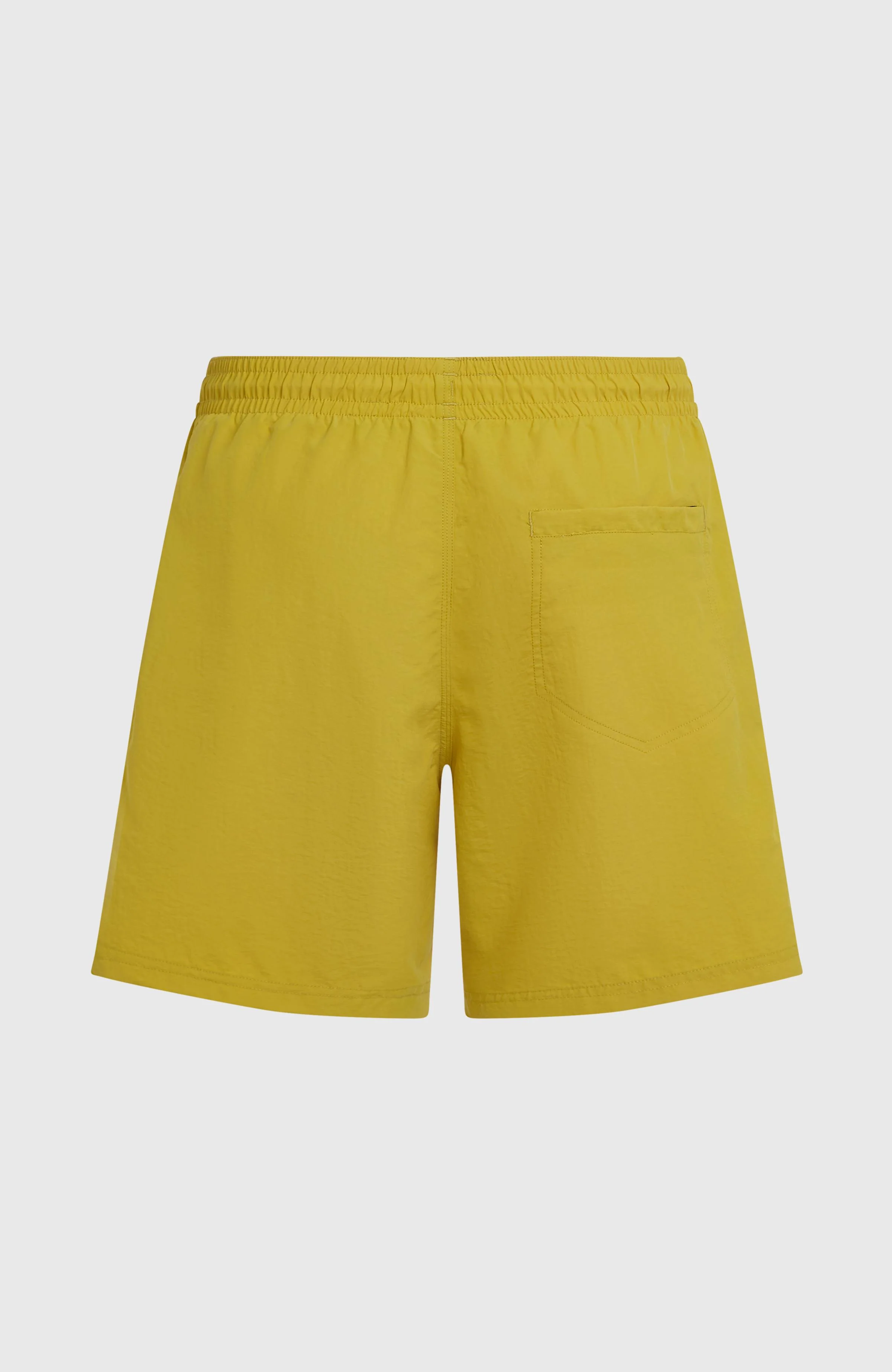 O'Neill Vert 16'' Swimshorts | Angel Fern