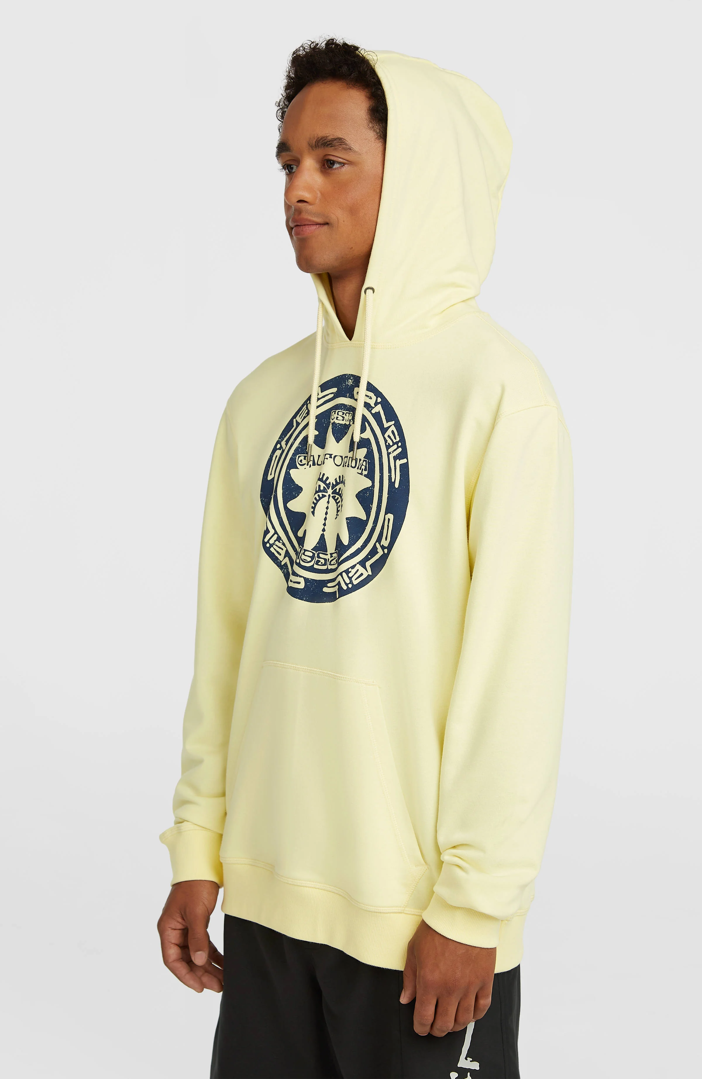 O'Neill Must-Have Graphic Hoodie | Rainforest Dew