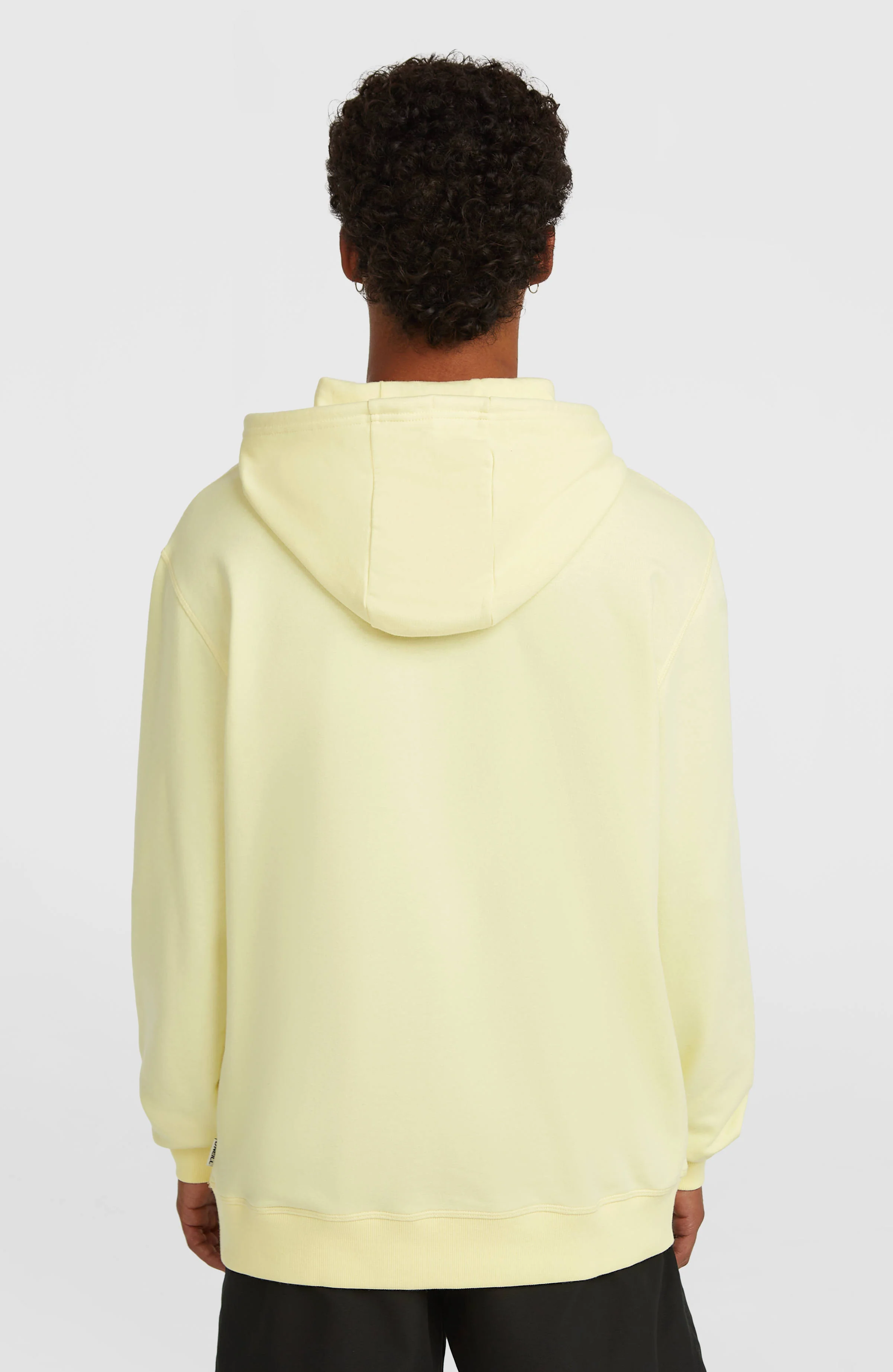 O'Neill Must-Have Graphic Hoodie | Rainforest Dew