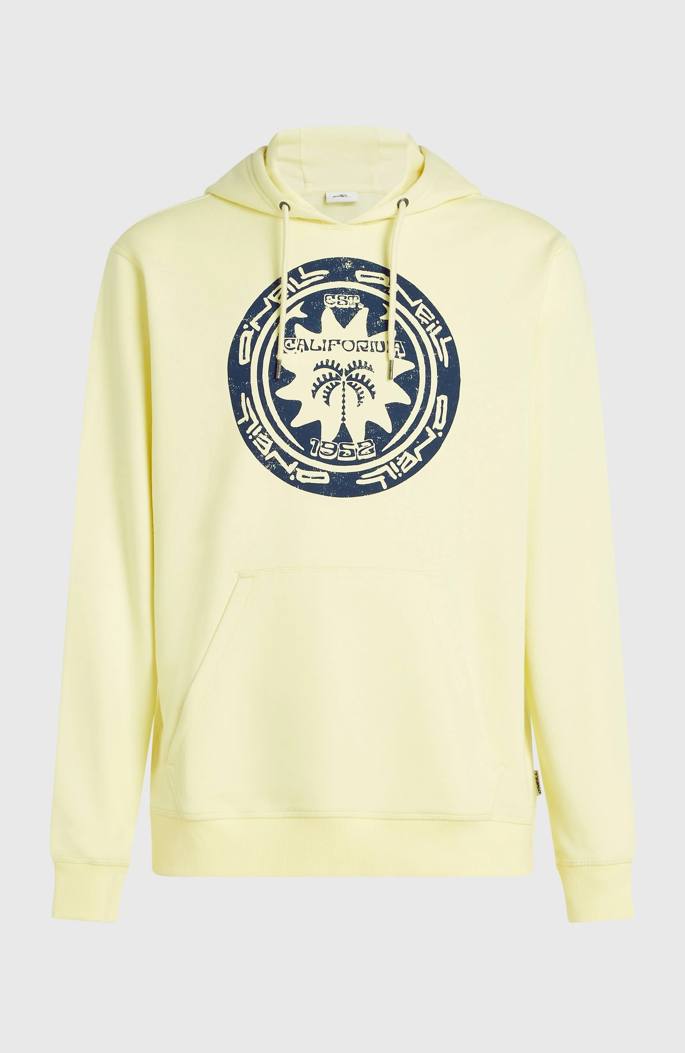 O'Neill Must-Have Graphic Hoodie | Rainforest Dew