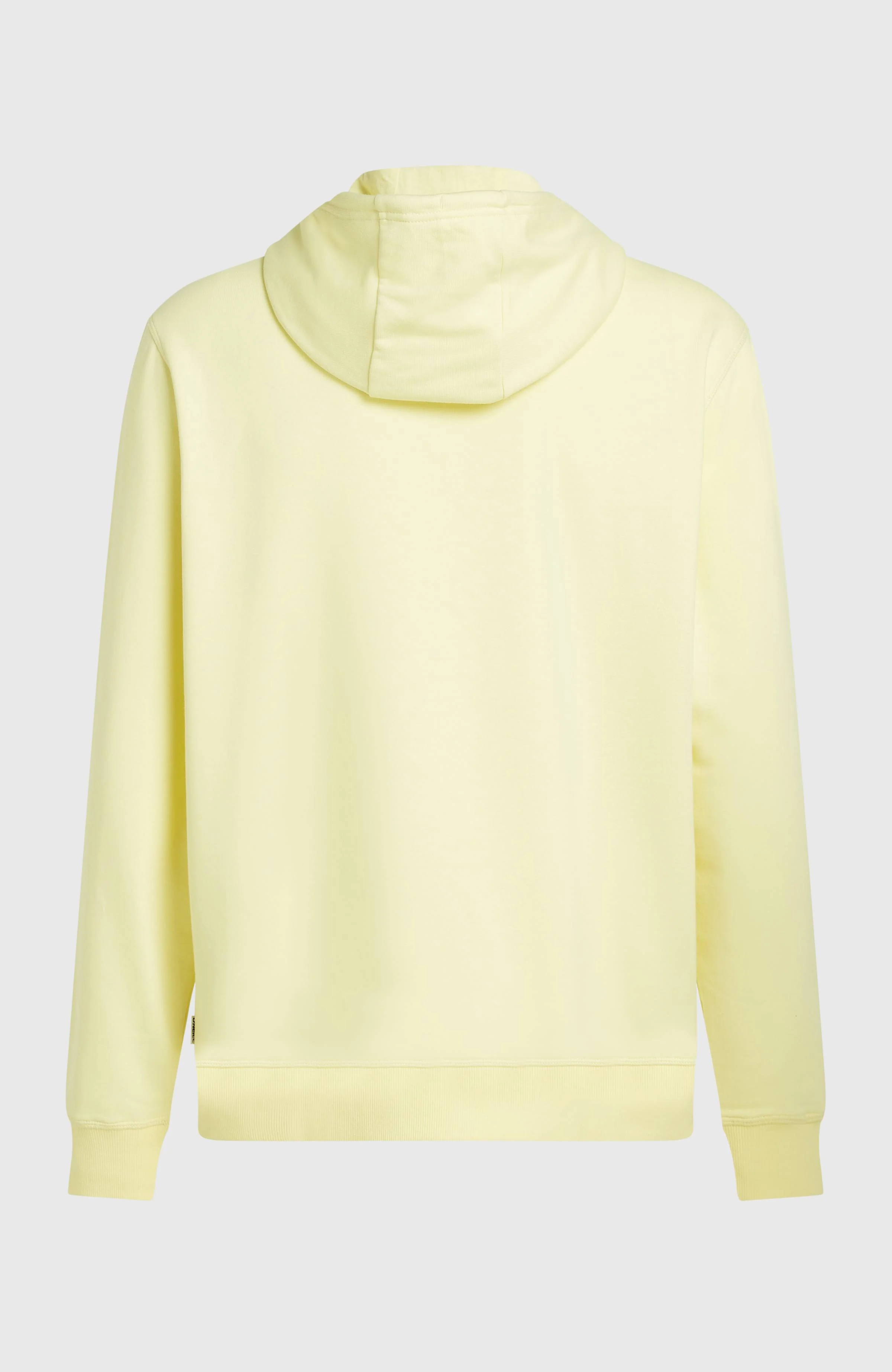 O'Neill Must-Have Graphic Hoodie | Rainforest Dew