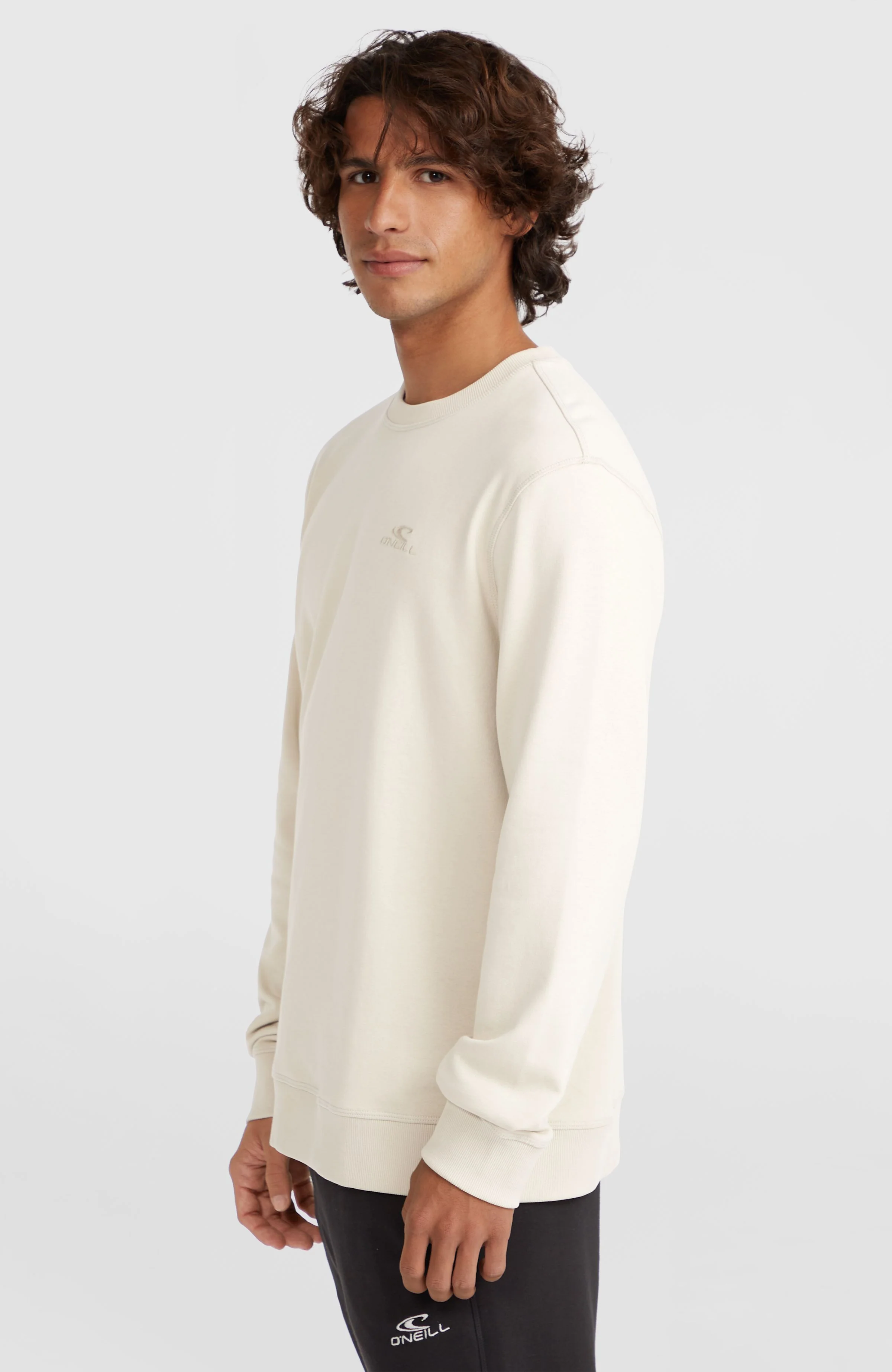 Small Logo Crew Sweatshirt | Atmosphere