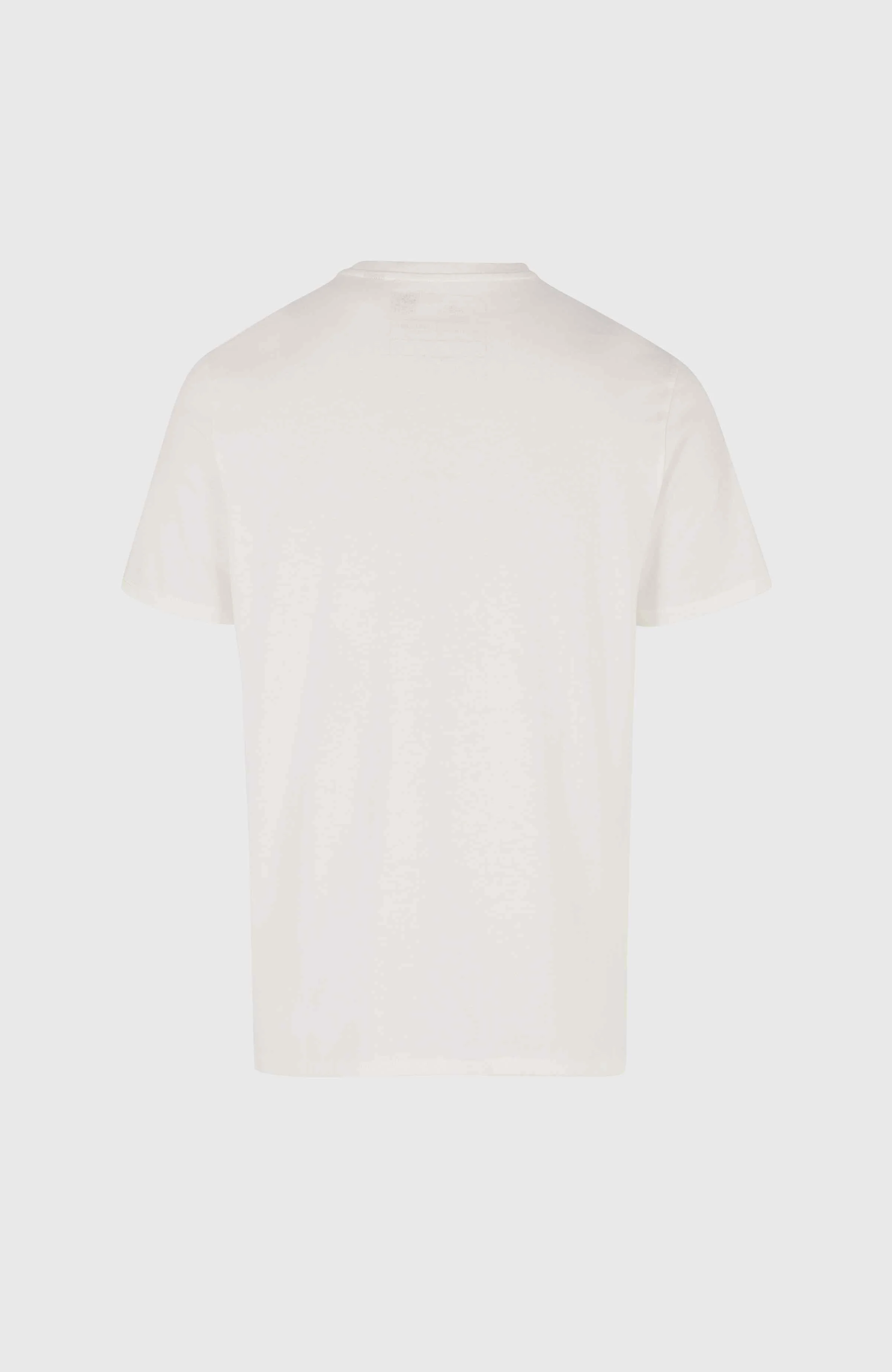 O'Neill Small Logo T-Shirt | Snow White