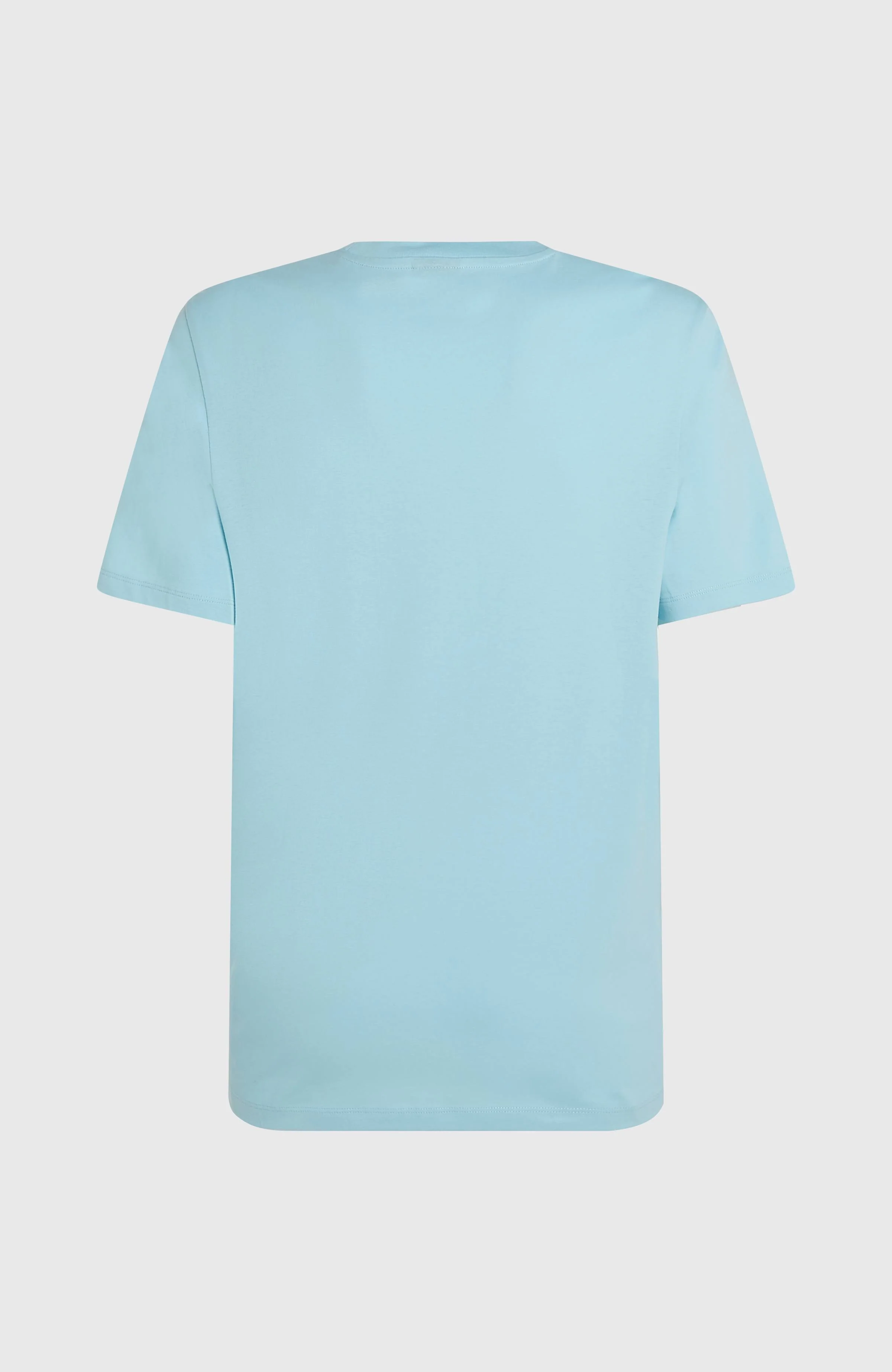 Small Logo T-Shirt | Morning Glory