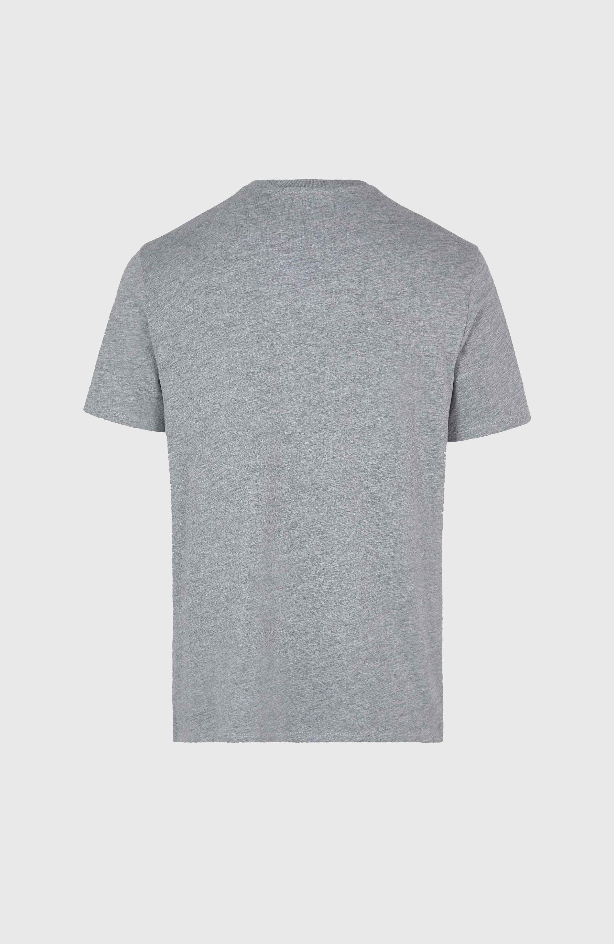 O'Neill Small Logo T-Shirt | Silver Melee